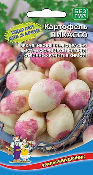 Семена Картофель Пикассо