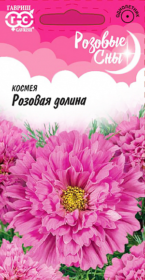 Семена Космея Розовая долина.
Роскошное однолетнее растение из семейства Астровые, высотой до 75 см. 
Необыкновенной формы махровые цветки (до 10 см в диаметре), нежно-розового цвета, «парят» над ажурными листьями пышного куста. 
Цветет обильно с июля до заморозков. Космея холодостойка и светолюбива, относительно засухоустойчива. 
К почвам нетребовательна, предпочитает рыхлые, умеренно плодородные почвы. 
Выращивают прямым посевом в грунт в конце апреля-начале мая, либо под зиму. 
Используется для посадки на клумбах, в миксбордерах для декорирования оград и стен зданий, высаживают в качестве заднего фона бордюра.
Успешно распространяется самосевом.