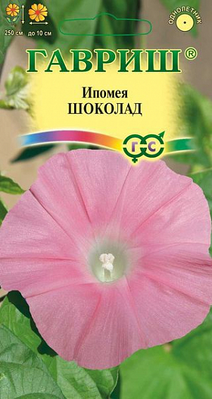 Семена Ипомея Шоколад<br>
 <br>
 Вьющееся однолетнее растение для вертикального озеленения из семейства Вьюнковые, с побегами, длиной до 2,5 м. Листья крупные, сердцевидные. Цветение обильное - с конца июня до заморозков. Цветки воронковидные, крупные (7-10 см в диаметре), необычного шоколадно-розового оттенка. Ипомея светолюбива и теплолюбива, заморозков не переносит.&nbsp; Используется для озеленения балконов и ваз, создания вертикальных цветущих ширм.<br>