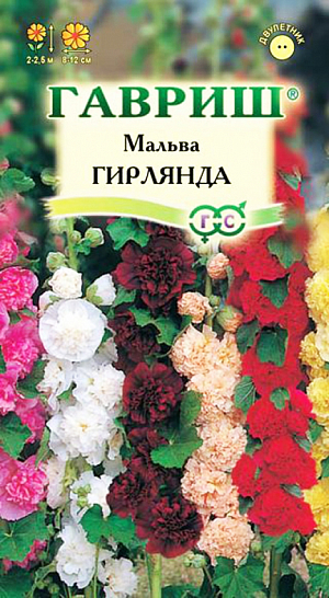 Семена Мальва Гирлянда.
Многолетнее растение из семейства Мальвовых, культивируемое как двулетник, высотой до 2-2,5 м. 
Цветет с конца июня по сентябрь. Цветки разнообразной окраски, 8-12 см в диаметре, собраны в крупное эффектное соцветие-кисть. 
Светолюбива и засухоустойчива, к почвам нетребовательна, но предпочитает участки с хорошо обработанной плодородной почвой. 
На зиму желательно укрывать. Выращивают прямым посевом в открытый грунт в мае. 
Используется для посадки в группах, миксбордерах, для декорирования стен зданий и изгородей, а также для получения срезки.