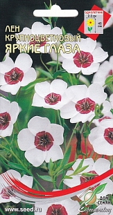 Лён крупноцветковый Яркие Глаза