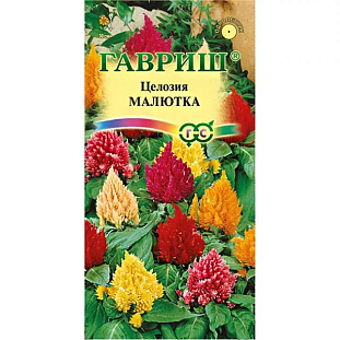Семена Целозия Малютка