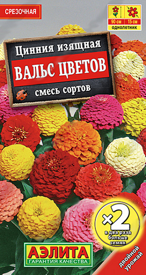 Семена Цинния Вальс Цветов смесь окрасок.
Раннецветущая смесь высокорослых цинний с яркими, густомахровыми соцветиями. Растения крепкие, ветвистые, высотой 80-90 см. Соцветия-корзинки крупные, георгиновидные, O 12-15 см, на прочных цветоносах. Цветение обильное, одновременно на кусте распускается 15-25 соцветий. Циннии неприхотливые, свето- и теплолюбивые, достаточно засухоустойчивые. Используются в смешанных цветниках, высоких бордюрах и рабатках. Отлично подходят для срезки, цветы 
долго стоят в воде. Агротехника. Выращивают рассадным способом. С развитием первой пары настоящих листочков сеянцы пикируют. В фазе пяти-шести листьев проводят формирующую прищипку. Рассаду высаживают в открытый грунт, когда минует опасность заморозков. Растениям необходимы регулярные поливы, прополки, рыхления и подкормки. Возможен посев семян в открытый грунт на глубину 1 см. 