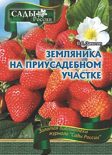 Закотин В.С. "Земляника на приусадебном участке Закотин В.С. "Земляника на приусадебном участке