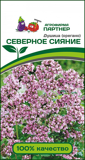 <div>
 Семена Душица Северное Сияние.
</div>
 Пряно-ароматический лекарственный многолетник, который станет прекрасным украшением вашего сада. Растение прямостоячее, высотой до 70 см. На многочисленных стеблях расположено множество небольших обратнояйцевидных или удлиненно-овальных листочков светло-зеленого цвета с ярким ароматом и горьковатым вкусом. В период цветения растение очень декоративно из-за многочисленных розово-сиреневых цветков. Сорт отличается высокой зимостойкостью, засухо- и болезнеустойчивый. Содержит эфирные масла, витамин С и микроэлементы, обладает успокаивающим, обезболивающим и антисептическим действием, помогает при бронхитах. Сухие и свежие соцветия используют для маринования овощей и фруктов, ароматизации напитков, мучных изделий, растительного масла. Листья в свежем и сухом виде добавляют в мясные и овощные блюда, в салаты и чай.<br>
Душица предпочитает солнечные участки с питательным грунтом без застоя воды. Не любит засушивание почвы. Посев семян на рассаду в марте или прямым посевом под зиму или в мае. Глубина заделки семян – 1 см. Всходы появляются через 10-15 дней при t° +20+22.