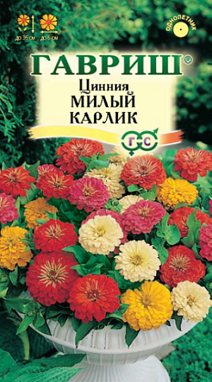 Семена Цинния Милый карлик смесь<br>
 <br>
 Однолетняя миниатюрная смесь цинний высотой до 35 см. Соцветия разнообразных оттенков,&nbsp; в диаметре до 6 см. Цветет обильно и продолжительно с середины июня до заморозков. Используют в клумбах, рабатках, больших массивах и для срезки. Цветы долго стоят в воде, сохраняя яркость окраски. Циннии светолюбивы, теплолюбивы и засухоустойчивы, отзывчивы на полив. Размножают семенами через рассаду, так как цинния чувствительна даже к самым легким заморозкам.&nbsp;<br>