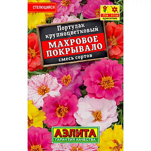 Портулак Махровое покрывало Портулак Махровое покрывало