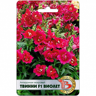 Семена Львиный зев (Антирринум) Твини F1 Виолет махровый