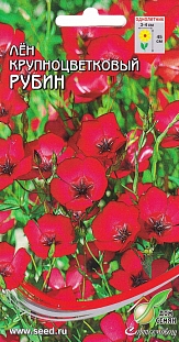 Лён крупноцветковый Рубин