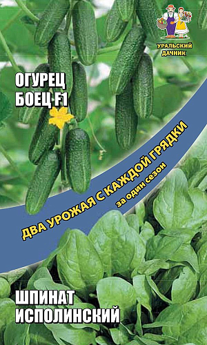 Семена Огурец Боец - корнишон + Шпинат Исполинский