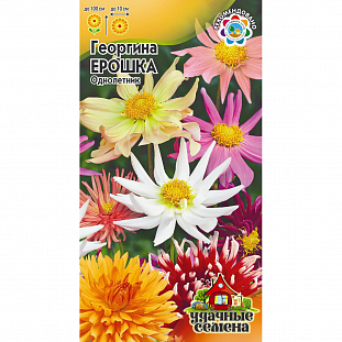 Семена Георгина Ерошка