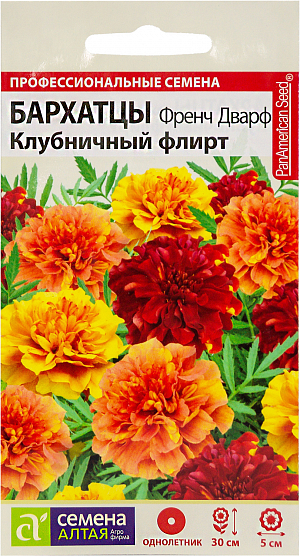 Семена Бархатцы "Френч Дварф Клубничный флирт".<br>
Новая уникальная серия низкорослых бархатцев поражает своей красотой и изумительными расцветками. Растение образует компактные кустики высотой до 30 см. Разнообразны окраски цветков на одном растении. Кружевные "шапочки" меняют свой цвет от соломенно-желтого до розового и терракотового. Интенсивность окраски - от бледной до насыщенной. Удивительные яркие цветы, растущие в вазоне или раскинувшиеся пестрым ковром на клумбе, наполнят Ваш сад теплом и светом. Обильное цветение с июня до заморозков. Растение засухоустойчивое, светолюбивое (может расти и при небольшом затенении). Бархатцы удивительно неприхотливы и нетребовательны к почве. Размножают посевом семян на рассаду в марте - апреле. Семена необходимо слегка присыпать почвой и держать в течение 10-14 дней при температуре 18-24С. После появления первых всходов температуру понижают до 17-18С и сокращают влажность почвы. Пикируют в фазе 2-х настоящих листьев. В открытый грунт высаживают в конце мая - начале июня по схеме 15 х 25 см.