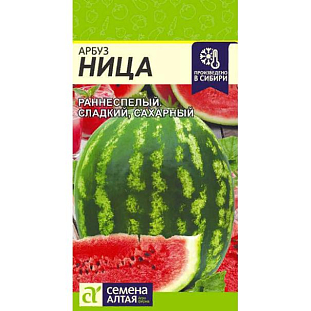 Семена Арбуз Ница