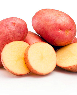 Семенной Картофель Легенда