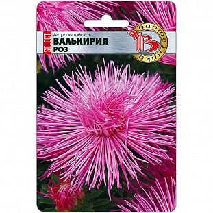 Семена Астра Валькирия Роз китайская