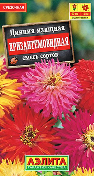 Семена Цинния Хризантемовидная. Высокорослая, быстрорастущая смесь циннии с крупными (диаметром 13-14 см.) махровыми соцветиями-корзинками различных окрасок. Растения крепкие, до 90 см. в высоту, мощные, хорошо облиственные, с прочными цветоносами. Цветение раннее и продолжительное. Смесь рекомендуется для оформления цветников и на срезку в букеты. Срезанные цветы долго не теряют свежесть в воде.<br>
 <br>
 Циннии – растения теплолюбивые, быстрорастущие, относительно засухоустойчивые. Предпочитают солнечные участки с дренированными почвами среднего плодородия, нейтральной кислотности. В южных регионах возможен безрассадный способ выращивания.<br>