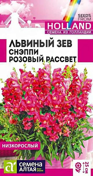 Семена Львиный зев Снэппи Розовый рассвет<br>
 <br>
 Великолепный низкорослый однолетник. Серия Snappy - исключительно компактная и очень ранняя, характеризующаяся прекрасным базальным ветвлением растений и богатой цветовой палитрой. Растения выравненные, компактные, не склонны к вытягиванию. Отличаются множеством ярких цветущих побегов высотой 20-25 см. Успешно применяется для создания бордюров, клумб, а так же для выращивания в горшках и контейнерах. Холодостойкое, засухоустойчивое растение. Хорошо растёт на солнечных участках, выносит небольшое затенение. Предпочитает плодородные почвы, не выносит переувлажнения. Выращивают рассадным способом или прямым посевом в грунт. <br>