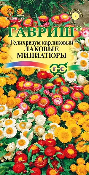 Семена Гелихризум Лаковые Миниатюры карликовый.
Травянистое однолетнее растение семейства Астровые. Кусты слегка раскидистые, достигают 30-40 см высоты. 
Цветки собраны в соцветия — корзинки, имеющие очень яркие и многочисленные листочки обертки белой, розовой, желтой, оранжевой или красной окраски разнообразных оттенков.
Цветет обильно с июля до заморозков. Предпочитает открытые солнечные места.
Размножают семенами, которые высевают в конце марта — начале апреля на рассаду. 
Всходы появляются через неделю после посева. На постоянное место рассаду высаживают после весенних заморозков, выдерживая расстояние между растениями 15-20 см.
Используется в озеленении (клумбах, рабатках), а также на срезку в качестве лучшего сухоцвета.