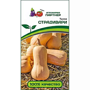 Семена Тыква Страдивари