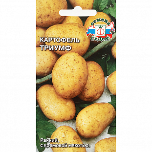 Семена Картофель Триумф