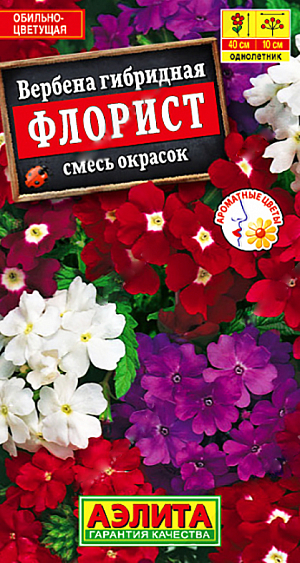 <div>
 Семена Вербена Флорист смесь.
</div>
 Популярный обильноцветущий летник с приятным ароматом. Соцветия крупные,8-10 см. состоят из 30-50 цветков диаметром 1,5-2 см. Кустики компактные, сильноветвистые, высотой 30-40 см. Отлично растут в ограниченном объеме грунта и идеально подходят для выращивания в горшках и балконных ящиках. Прекрасно смотрятся на клумбах и в рабатках.<br>
 Вербена предпочитает солнечные участки с хорошо дренированными почвами среднего плодородия, с нейтральной кислотностью. Растения холодостойкие, засухоустойчивые; в любой стадии развития плохо реагируют на избыточную влажность грунта.<br>