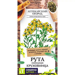 Рута Кружевница Рута Кружевница