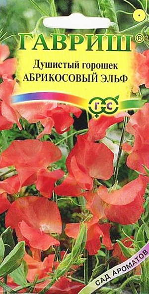 Семена Душистый горошек Абрикосовый Эльф.
Однолетнее растение семейства Бобовые с лазающими стеблями высотой 200 см.

Цветет с июля по сентябрь. Цветки крупные, абрикосовой окраски, собраны в изящные кисти, обладают приятным тонким ароматом. Светолюбив, влаголюбив и холодостоек, предпочитает плодородные суглинистые и супесчаные почвы. Выращивают рассадным и безрассадным способом. В открытый грунт посев проводят в первой декаде мая.

На рассаду семена высевают в конце марта-начале апреля в горшочки. Рассаду высаживают в середине мая на расстоянии 30 см. Используется для вертикального озеленения. Срезанные цветки хорошо сохраняют свежесть в воде, используются в букетах.