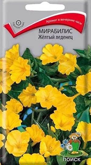 Семена&nbsp;Мирабилис Жёлтый леденец.&nbsp;Ароматные цветки жёлтой окраски диаметром 5-6 см, раскрываются после 15 часов, а закрываются утром.&nbsp;Многолетнее растение, используется как однолетнее. Кустики 60-80 см. высотой. Стебли прямостоячие, ветвистые. Цветёт обильно с июня до заморозков. Используют для оформления цветников, рабаток.<br>
 <br>
&nbsp;Агротехника.&nbsp;Растение свето- и теплолюбивое, засухоустойчивое. Предпочитает суглинистые, хорошо дренированные почвы. Посев семян производят в начале мая непосредственно в грунт. Глубина заделки семян 1,5-2 см. При выращивании рассады семена высевают в апреле в рассадные ящики. При температуре почвы +18-20ºC всходы появляются через 5-10 дней. Сеянцы в фазе 2-3-х настоящих листьев пикируют по одному в горшочки. В июне высаживают в грунт, выдерживая расстояние между растениями 30-40 см.