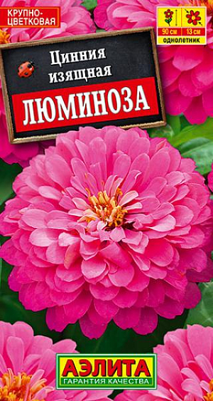 Семена Цинния Люминоза.
Высокорослый сорт циннии с очень крупными, махровыми соцветиями (O10-13 см). Кусты высотой до 90 см, мощные, хорошо облиственные, с крепкими цветоносами. Цветение раннее и продолжительное, с июня до первых заморозков. Растения неприхотливые, теплолюбивые, предпочитают солнечные места, хорошо переносят воздействие непогоды. Используются на клумбах, в рабатках и цветниках, великолепно смотрятся в групповой посадке. Отличный материал для срезки. Агротехника. Выращивают рассадным способом. С развитием первой пары настоящих листочков сеянцы пикируют. В фазе пяти-шести листьев проводят формирующую прищипку. Рассаду высаживают в открытый грунт, когда минует опасность заморозков. Растениям необходимы регулярные поливы, прополки, рыхления и подкормки. Возможен посев семян в открытый грунт на глубину 1 см. 