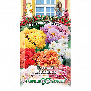 Семена Георгина Василиса