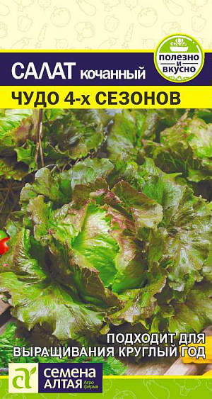 Семена Салат Чудо 4 сезонов