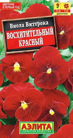 Семена Виола Восхитительный красный.

Главное достоинство данного сорта – замечательный цвет. Возможно, это самый чистый и яркий красный оттенок у садовых фиалок. Бархатистые цветки диаметром 5-6 см украшены тонкой кружевной сеточкой. Кустик высотой 15 см, компактный, нарядный. Легко переносит пересадку в цветущем состоянии. Растения холодостойкие. Обильно цветут весной и ранней осенью. В летнюю жару интенсивность цветения может снижаться. Сорт рекомендуется для оформления балконных контейнеров, горшков, садовых вазонов. Успешно украсит клумбы, рабатки, бордюр вдоль дорожки.

Виола предпочитает солнечные или слегка затененные участки с плодородными, рыхлыми, влажными почвами. Для цветения в год посева выращивают рассаду. При посеве в открытый грунт в июне-июле растения цветут на следующий год. Зимостойкость хорошая.