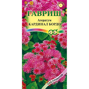 Семена Агератум Кардинал бордо