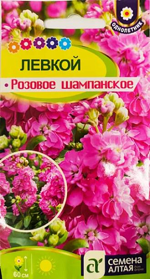 Семена левкой Розовое шампанское.<br>
 <br>
 Декоративный однолетник, любимые цветы для срезки!<br>
 <br>
 Стебли прямостоячие, хорошо облиственные, высотой до 60 см., в верхней части украшены изящными крупными махровыми цветками, собранными в скипетровидные соцветия. Неповторимый аромат, длительное, с июня по август цветение, свежесть в букетах сделали растение столь популярным у садоводов. Для букетов растения вынимают из земли, сохраняя корни и помещают в вазу, в воде они способны сохранить свежесть до 20 дней.<br>
 <br>
 Выращивают через рассаду - с конца февраля для более раннего цветения. Также можно высевать семена непосредственно в грунт ранней весной или под зиму. Растение светолюбивое, холодостойкое, предпочитает дренированные, удобренные почвы на солнечных участках.<br>