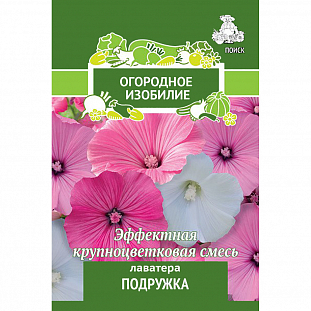 Лаватера Подружка Лаватера Подружка