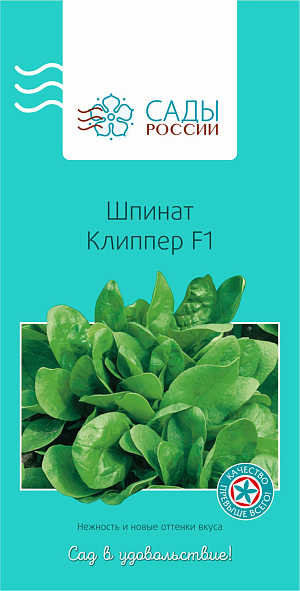 Семена Шпинат Клиппер F1