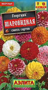Семена Георгина Шаровидная, смесь сортов