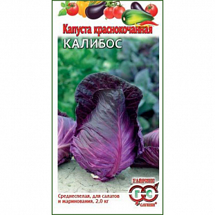 Семена Капуста краснокочанная Калибос
