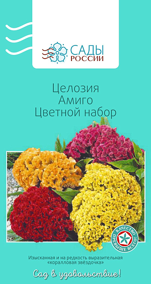 Целозия Амиго Цветной набор

Одна из лучших серий гребенчатых целозий с очень компактными карликовыми растениями, больше половины высоты которых приходится на яркое крупное соцветие-гребешок. Перед посевом семена замочить в растворе «Эпина» на 3–4 часа. Молодая целозия еще очень хрупкая, поэтому постарайтесь не повредить ее корневую систему при пересадке в грунт. Лучше пересаживать вместе с земляным комом. Не терпит слишком влажной почвы, поливать только в самые знойные дни, если она опустила листья. Теплолюбива. Рассаду высаживают в грунт после того, как минует угроза возвратных заморозков.