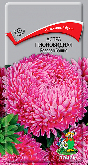 Семена Астра Розовая башня Пионовидная.
Великолепный букет соцветий. Растение колонновидной формы высотой 50-55 см. Соцветия розовые, диаметром 7-8 см. Цветет август-сентябрь. Используют очень широко: для посадки в сборные цветники группами, на рабатки - рядами и на срезку. 
Агротехника. Растение предпочитает открытое солнечное место, но выносит и полутень. Лучше растет на легких, плодородных почвах. Не переносит внесения органических удобрений в год посадки. Семена высевают с середины февраля по апрель.