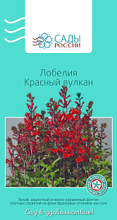 Семена Лобелия Красный вулкан Семена Лобелия Красный вулкан