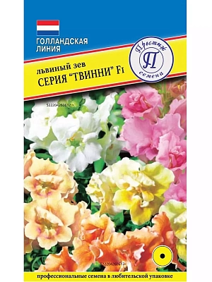 Однолетник. Смесь красок. Высота 25-30 см, ширина 20-25 см. Это первый низкорослый махровый F1 гибрид львиного зева на рынке. Растения с привлекательными полумахровыми и махровыми цветками, с мощным боковым ветвлением. Хорошо переносят жаркую и влажную погоду, поэтому на протяжении всего длительного периода обильного цветения сохраняют отличный вид. «Твинни» подходит для выращивания в 10-15 см горшках, вазонах, контейнерах. Семена равномерно распределяют по поверхности субстрата, предварительно хорошо увлажненному, и накрывают стеклом либо прозрачной пленкой. Для прорастания растения необходим свет и температура 18 градусов. При соблюдении этих условий всходы появляются на 7-10 день. Выращивают на свету, но избегая попадания прямых солнечных лучей. Подросшие растения пикируют в отдельные горшочки или ящики, оставляя 5 см между растениями. Акклиматизированные растения высаживают в грунт с шагом 20 см в начале мая.