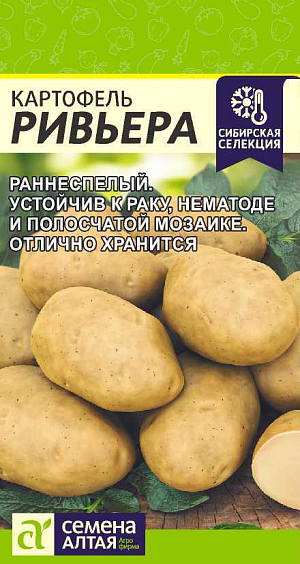 Семена Картофель Ривьера