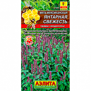 Семена Мята мексиканская Янтарная свежесть