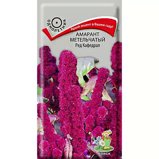 Семена Амарант метельчатый Ред Кафедрал