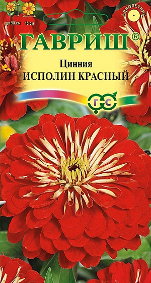Семена Цинния Исполин Красный.
Серия высокорослых крупноцветковых цинний для элитного оформления сада. Отличается чрезвычайно обильным и продолжительным цветением, прочными ветвящимися цветоносами, чистыми и стойкими к выгоранию тонами соцветий.
Формирует приподнятые, разветвленные кусты высотой до 90 см. Соцветия георгиновидные, крупные, красные, 15 см в диаметре, с высокой устойчивостью к неблагоприятным погодным условиям. Цветет с июня до заморозков. 
Циннии светолюбивы, засухоустойчивы и теплолюбивы; отзывчивы на полив, без длительного полива снижается интенсивность цветения и уменьшается размер соцветий. Выращивают рассадным способом. Семена высевают в апреле. 
Всходы появляются через 4-6 дней. В начале июня растения высаживают на расстоянии 20 см.