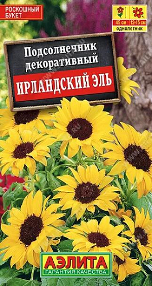 Семена&nbsp;Подсолнечник декоративный Ирландский Эль.&nbsp;Очень декоративный, низкорослый сорт. Один из самых простых в выращивании, не требующий особого ухода. Растения компактные, коренастые, высотой до 45 см. Первым распускается более крупный центральный цветок, затем целый ряд боковых. Одновременно на одном растении может быть 10-15 соцветий. Куст напоминает роскошный букет. Используется для украшения клумб, рабаток, великолепно подходит для выращивания в горшках и садовых вазах.<br>
 <br>
Посев семян в открытый грунт на глубину 2-3 см. Всходы прореживают. Хорошо растет на богатой, плодородной почве. Обязательно солнечное местоположение. Растениям необходимы регулярные поливы, прополки, рыхления и подкормки. Посев на рассаду в апреле в отдельные горшочки ускоряет цветение на 3-4 недели.