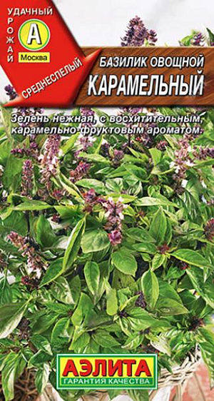 Семена Базилик овощной Карамельный