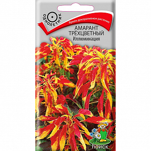 Семена Амарант Иллюминация трёхцветный