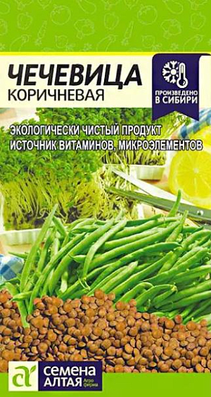 Семена Чечевица Коричневая